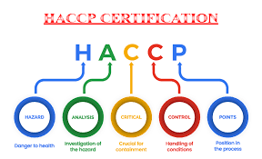 Formazione per conseguimento attestato HACCP